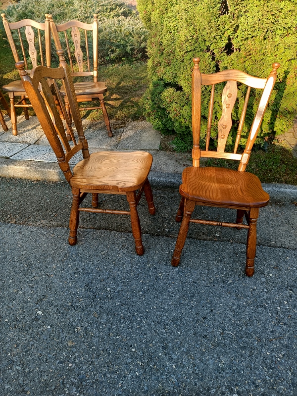 IMG20260319073210 (600x800)